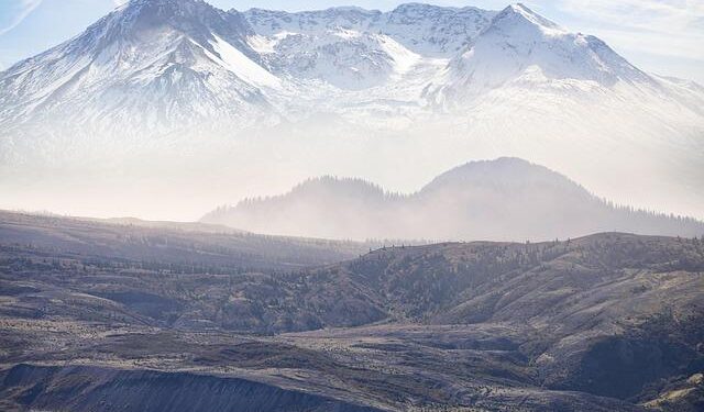 Maine now has an official state dog – newscentermaine.com