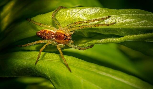 Tiny technology that can find pollution in South Africa’s water and trap it – ZAWYA