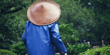 Asia Feels the Knock-On Effects of the Dollar’s Tumble – Bloomberg.com