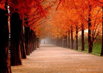 Meta can be sued in Kenya over posts related to Ethiopia violence, court rules – Reuters