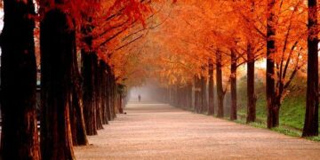 Meta can be sued in Kenya over posts related to Ethiopia violence, court rules – Reuters