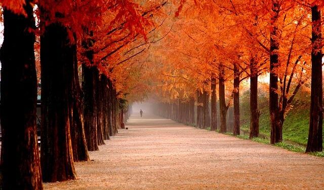 Meta can be sued in Kenya over posts related to Ethiopia violence, court rules – Reuters