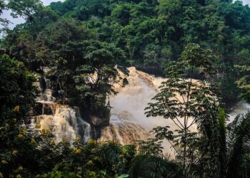 Exclusive: US pushes Congo, Rwanda for peace accord and billion-dollar mineral deals – Reuters