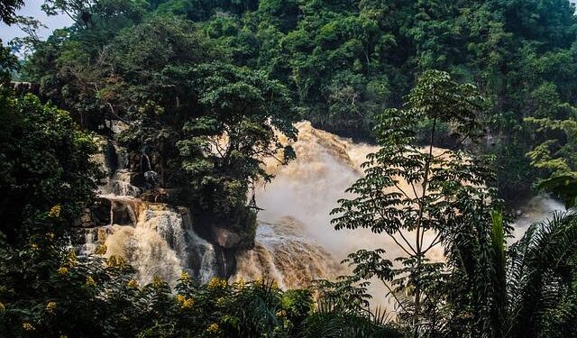 Exclusive: US pushes Congo, Rwanda for peace accord and billion-dollar mineral deals – Reuters