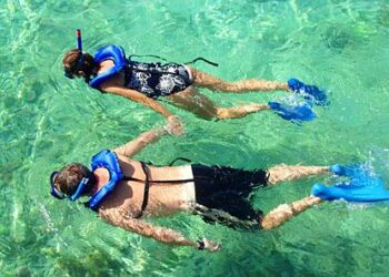 Snorkel with me to understand climate change, Palau president tells Trump – France 24