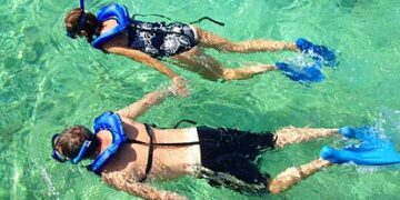 Snorkel with me to understand climate change, Palau president tells Trump – France 24