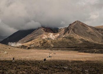 New Zealand Stocks Erase Early Gains – TradingView
