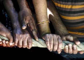 Minister of State for International Cooperation meets Ambassadors of Morocco, Netherlands| Gulf Times – Gulf Times