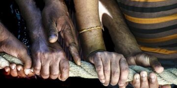 Minister of State for International Cooperation meets Ambassadors of Morocco, Netherlands| Gulf Times – Gulf Times