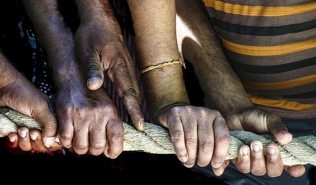 Minister of State for International Cooperation meets Ambassadors of Morocco, Netherlands| Gulf Times – Gulf Times