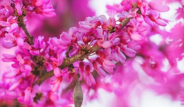 Evfarmer, an innovative agricultural finance company, announced its entry into the Sierra Leone market to expand its online business and support the country’s economic transformation and growth – GlobeNewswire