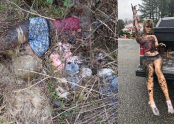 Body found on Saint Helena identified, according to Beaufort Co. Sheriff’s Office – WTOC