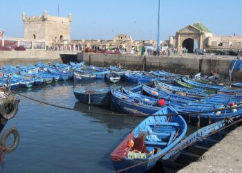 Morocco and Japan Explore Broader Horizons in Fisheries Sector, Boost Bilateral Ties – Morocco World News