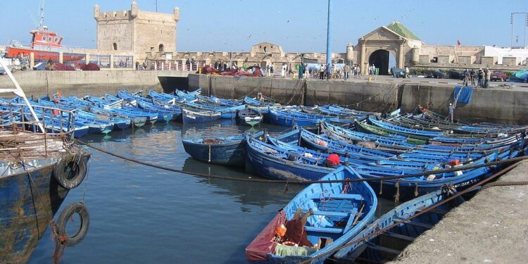Morocco and Japan Explore Broader Horizons in Fisheries Sector, Boost Bilateral Ties – Morocco World News