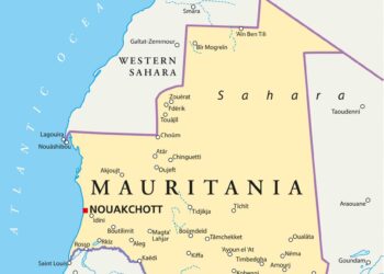 Africa: Mauritania’s AfDB Presidential Candidate Ould Tah Shares His Four Pillars of Leadership – allAfrica.com