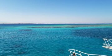 Egypt, Comoros affirm alignment on regional, int’l Issues – Politics – 04/05/2025 – kuna.net.kw