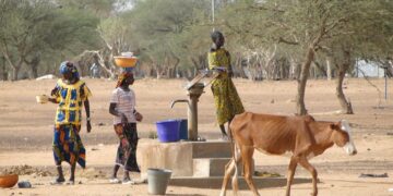 Burkina Faso jihadist insurgency: Some Ghanaians join the fight against the military – BBC