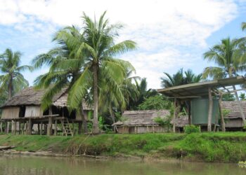 Pioneering Development in Sepik, Papua New Guinea – Welcome to the United Nations