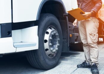 Truck checks at Czech-Slovak border continue due to foot-and-mouth – Euronews.com