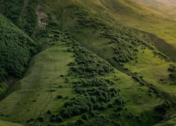 Liberation Day in the Netherlands: How free are we? – DiEM25