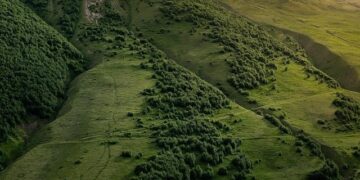 Liberation Day in the Netherlands: How free are we? – DiEM25