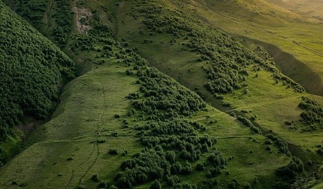 Liberation Day in the Netherlands: How free are we? – DiEM25