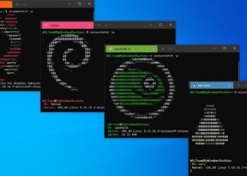 WSL To Hold First Junior Qualifying Series Event in Ireland – The Inertia