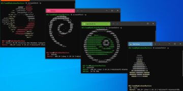 WSL To Hold First Junior Qualifying Series Event in Ireland – The Inertia