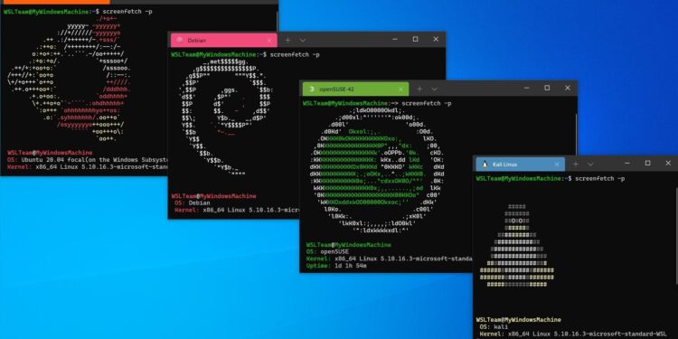 WSL To Hold First Junior Qualifying Series Event in Ireland – The Inertia