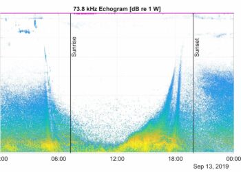 Coupled echosounder and Doppler profiler measurements in the Strait of Gibraltar – Nature