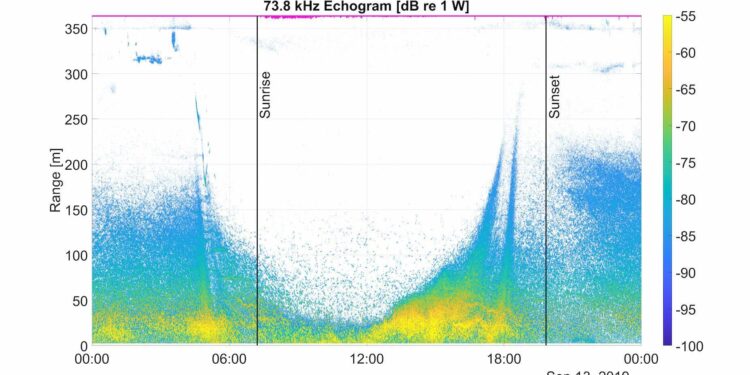 Coupled echosounder and Doppler profiler measurements in the Strait of Gibraltar – Nature