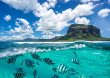 Mauritius’ PM says his alliance heading for huge election defeat – Reuters