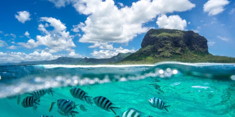 Mauritius’ PM says his alliance heading for huge election defeat – Reuters