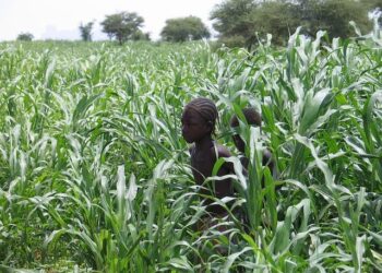 Mali forum backs five-year presidency for junta leader Assimi Goïta – RFI