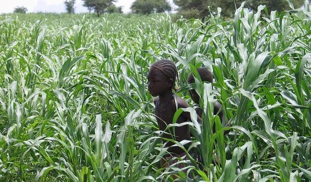 Mali forum backs five-year presidency for junta leader Assimi Goïta – RFI