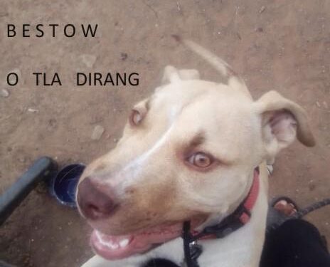 O dirang, Donald? – Financial Times