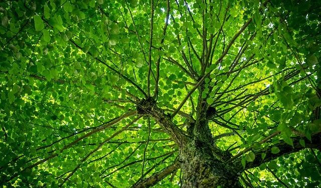 UK and Norway step up cross-border CO2 storage plans – gasworld