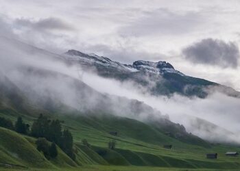 Bad weather threatens Tunisia’s agricultural sector – Atlas Magazine