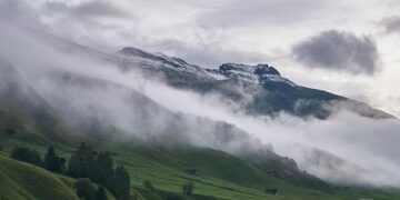 Bad weather threatens Tunisia’s agricultural sector – Atlas Magazine