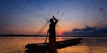 EU reels in Finland for breaching fishing rules – WWF EU