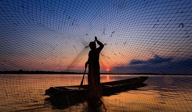 EU reels in Finland for breaching fishing rules – WWF EU