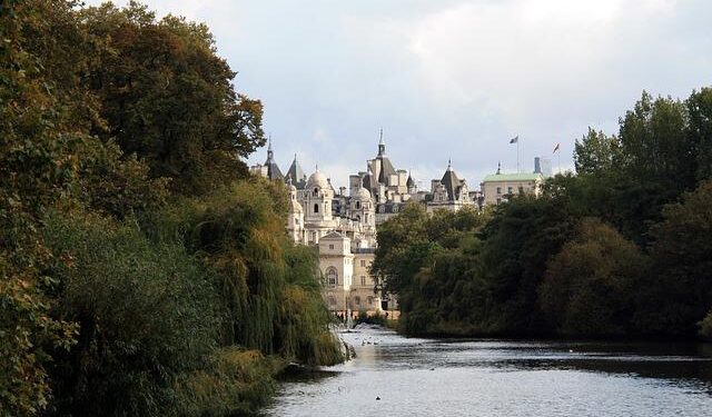 Theo James visits Mauritania to spotlight refugees’ climate challenges ahead of COP29 – UNHCR – The UN Refugee Agency