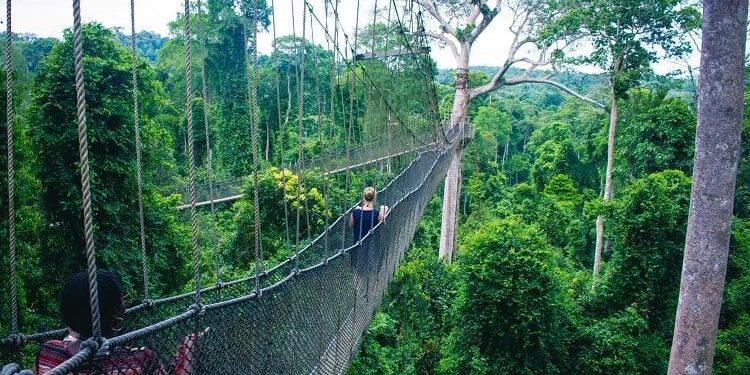 Ghana: Olinga Foundation fosters literacy with moral purpose – Baha’i World News Service