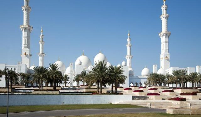 United Arab Emirates: Algeria between diplomatic Paranoia and a Regime in Crisis – Sahel Intelligence