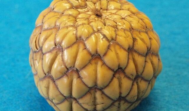 Vanuatu Embarks on a Green Energy Revolution – United Nations Development Programme