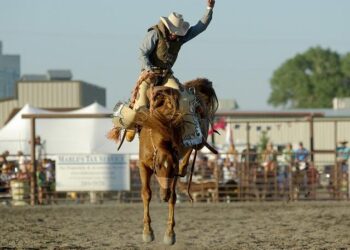 Broncos’ Haas to make Samoa call after Origin – ESPN