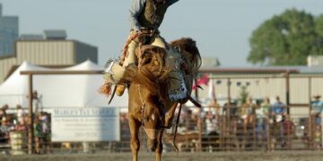 Broncos’ Haas to make Samoa call after Origin – ESPN