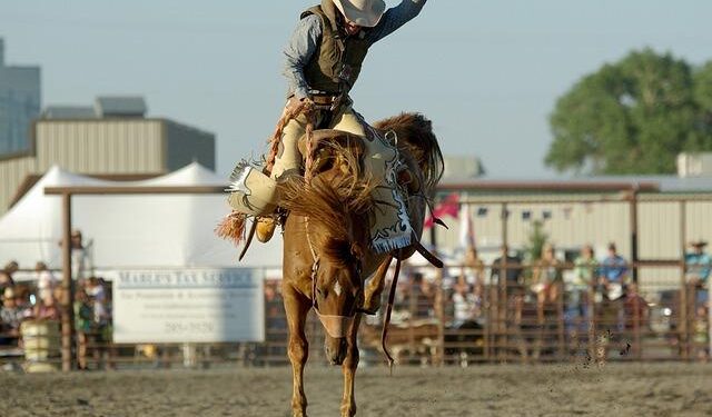 Broncos’ Haas to make Samoa call after Origin – ESPN