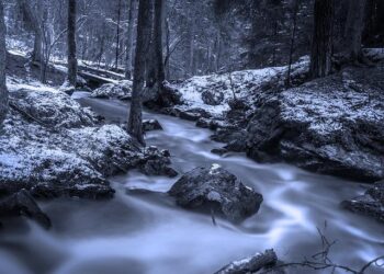 Sweden and Norway leave interest rates unchanged amid global turmoil – The Local Europe