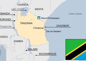 Tanzania lifts ban on agriculture imports from South Africa, Malawi – Reuters